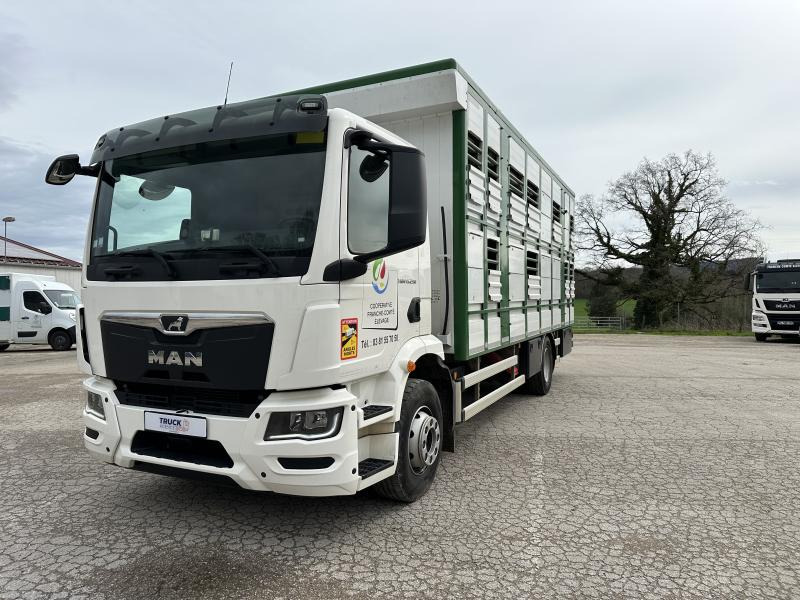 MAN TGM 15.290 - Camion bétaillère: photos 1 MAN TGM 15.290 - Camion bétaillère: photos 1
