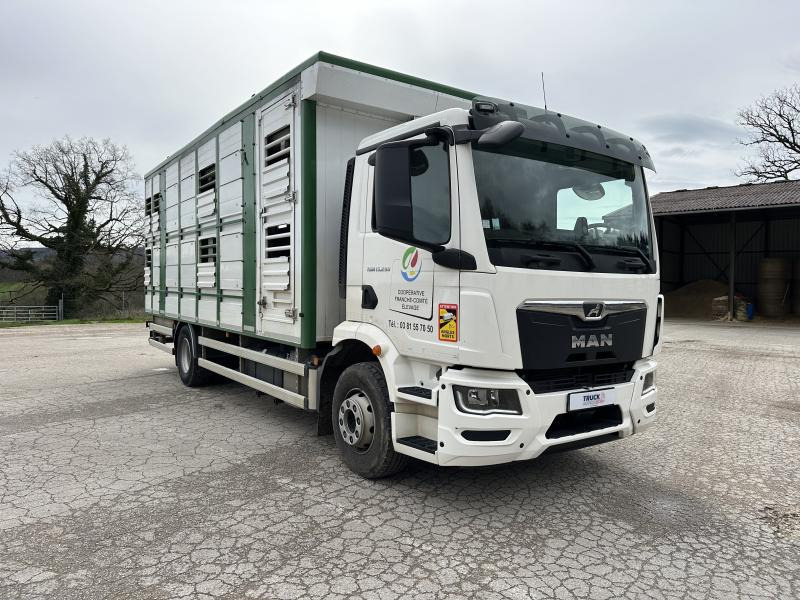 MAN TGM 15.290 - Camion bétaillère: photos 2 MAN TGM 15.290 - Camion bétaillère: photos 2
