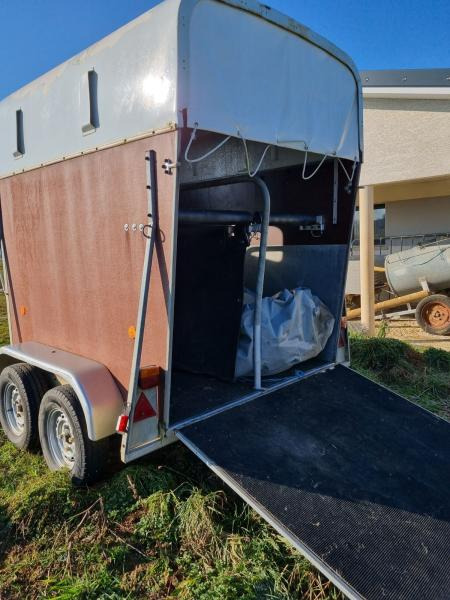 Vanisere - Van chevaux: photos 3 Vanisere - Van chevaux: photos 3