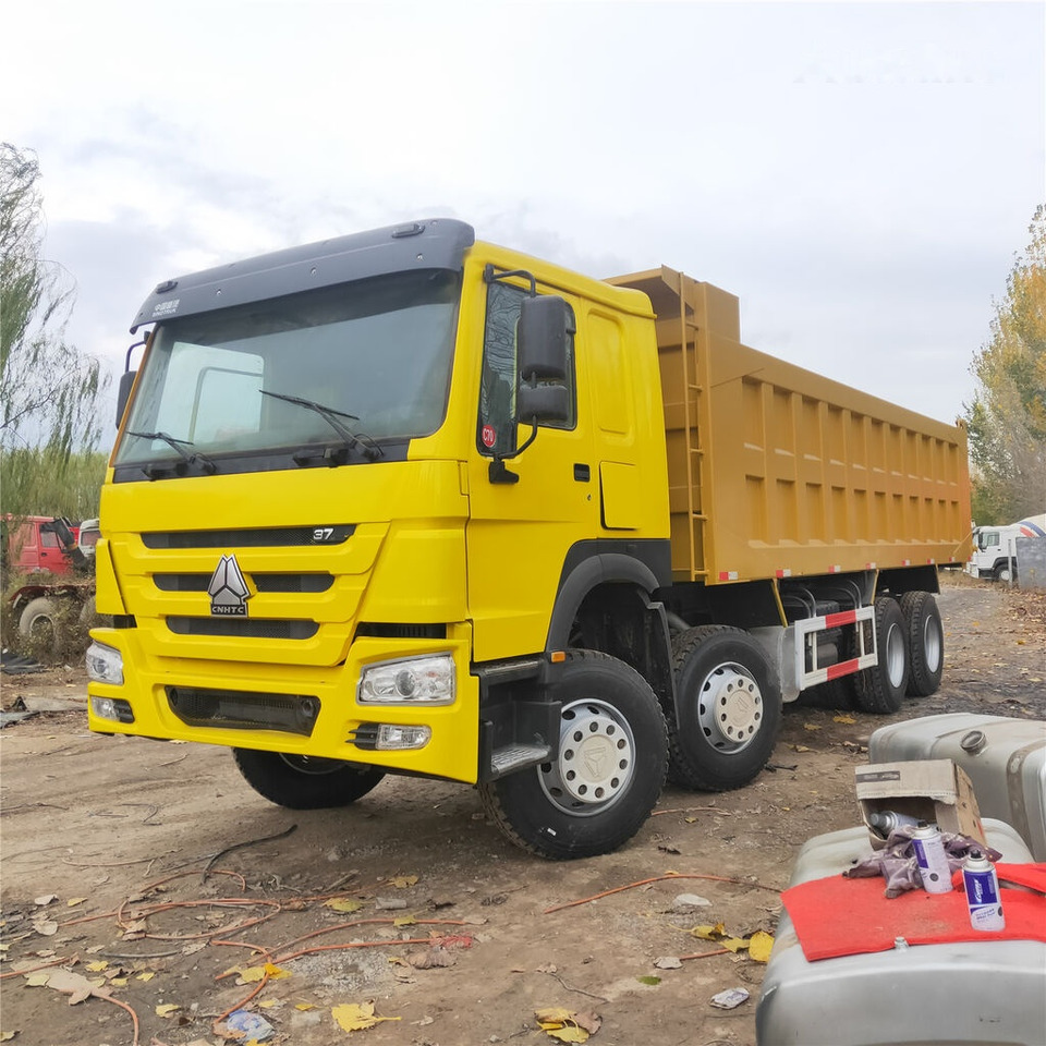 Camion benne Howo: photos 11