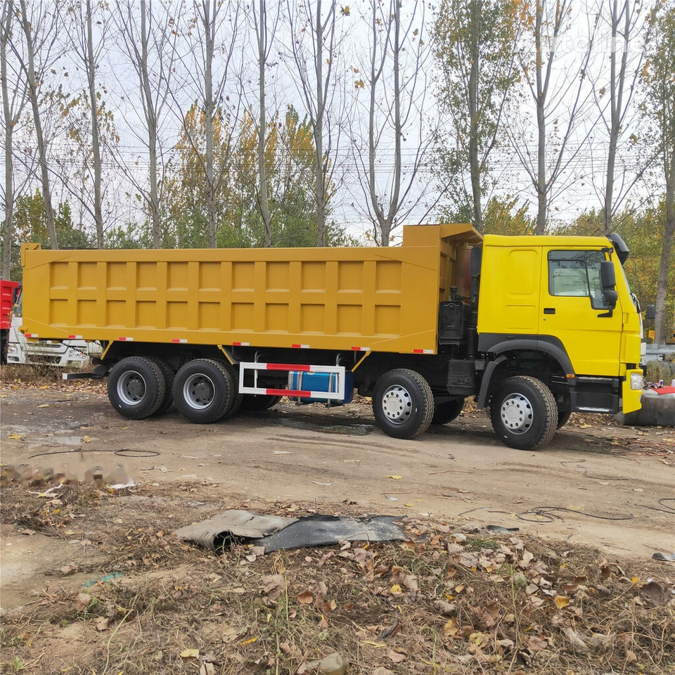 Camion benne Howo: photos 6