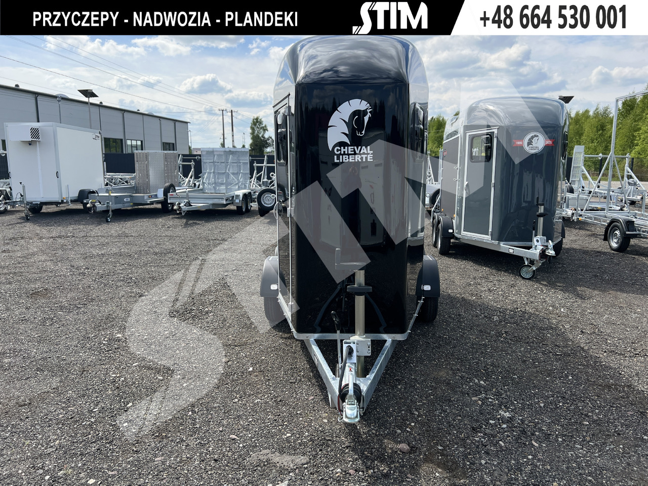 CHEVAL LIBERTÉ DEBON, GOLD ORIGINS ONE ALU - Van chevaux: photos 1 CHEVAL LIBERTÉ DEBON, GOLD ORIGINS ONE ALU - Van chevaux: photos 1