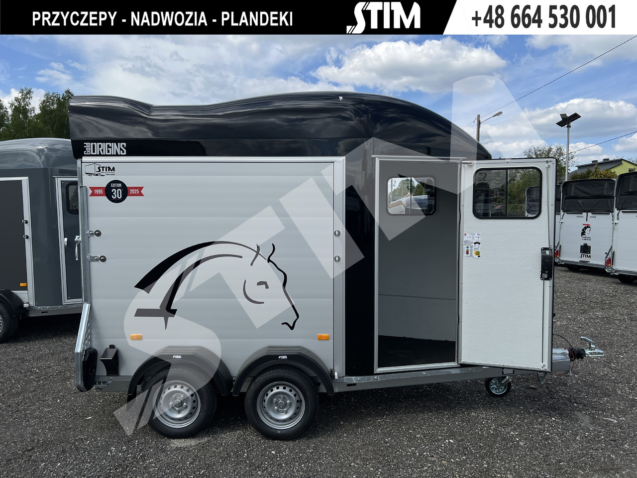 CHEVAL LIBERTÉ DEBON, GOLD ORIGINS ONE ALU - Van chevaux: photos 5 CHEVAL LIBERTÉ DEBON, GOLD ORIGINS ONE ALU - Van chevaux: photos 5