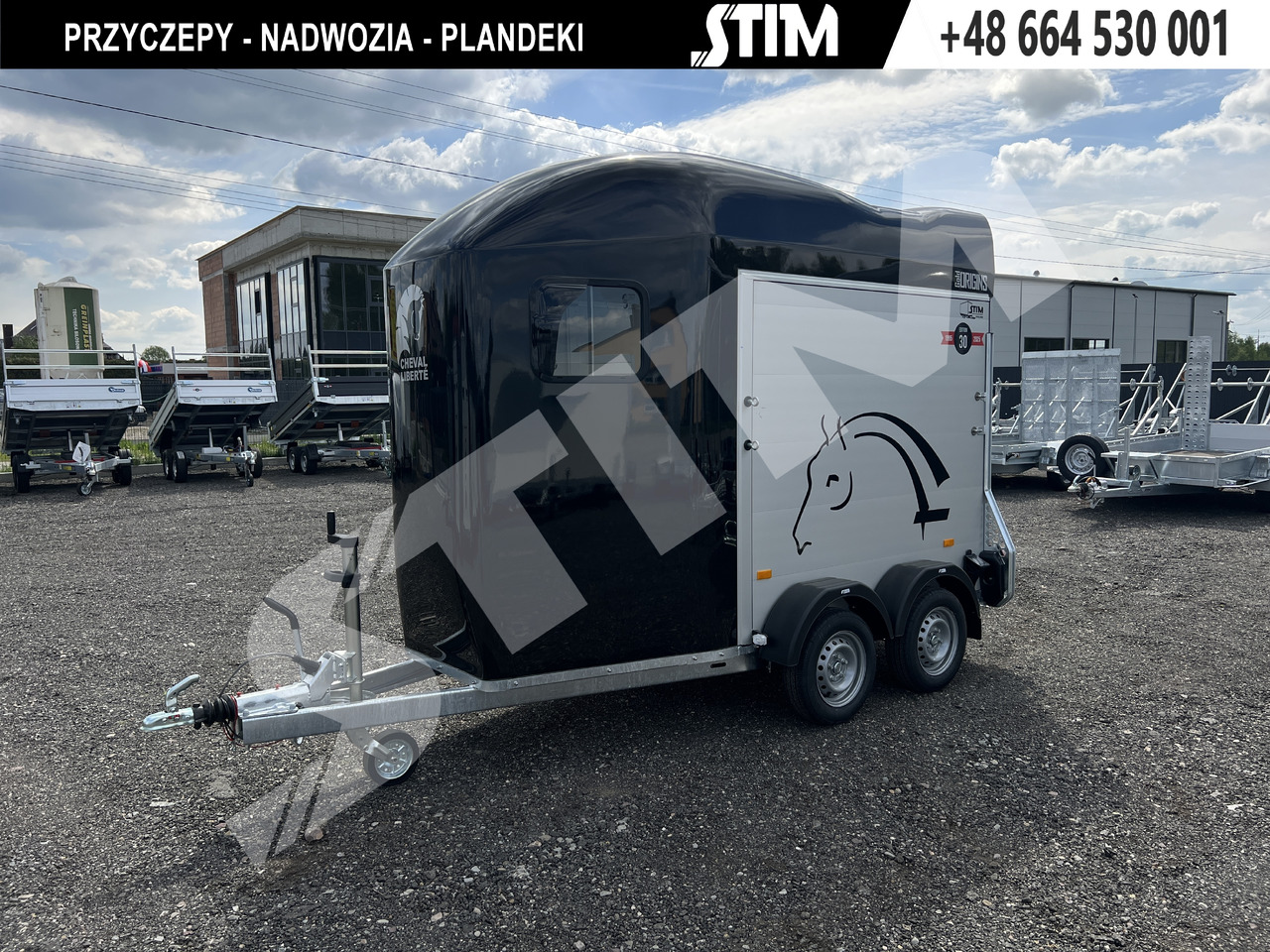 CHEVAL LIBERTÉ DEBON, GOLD ORIGINS ONE ALU - Van chevaux: photos 2 CHEVAL LIBERTÉ DEBON, GOLD ORIGINS ONE ALU - Van chevaux: photos 2