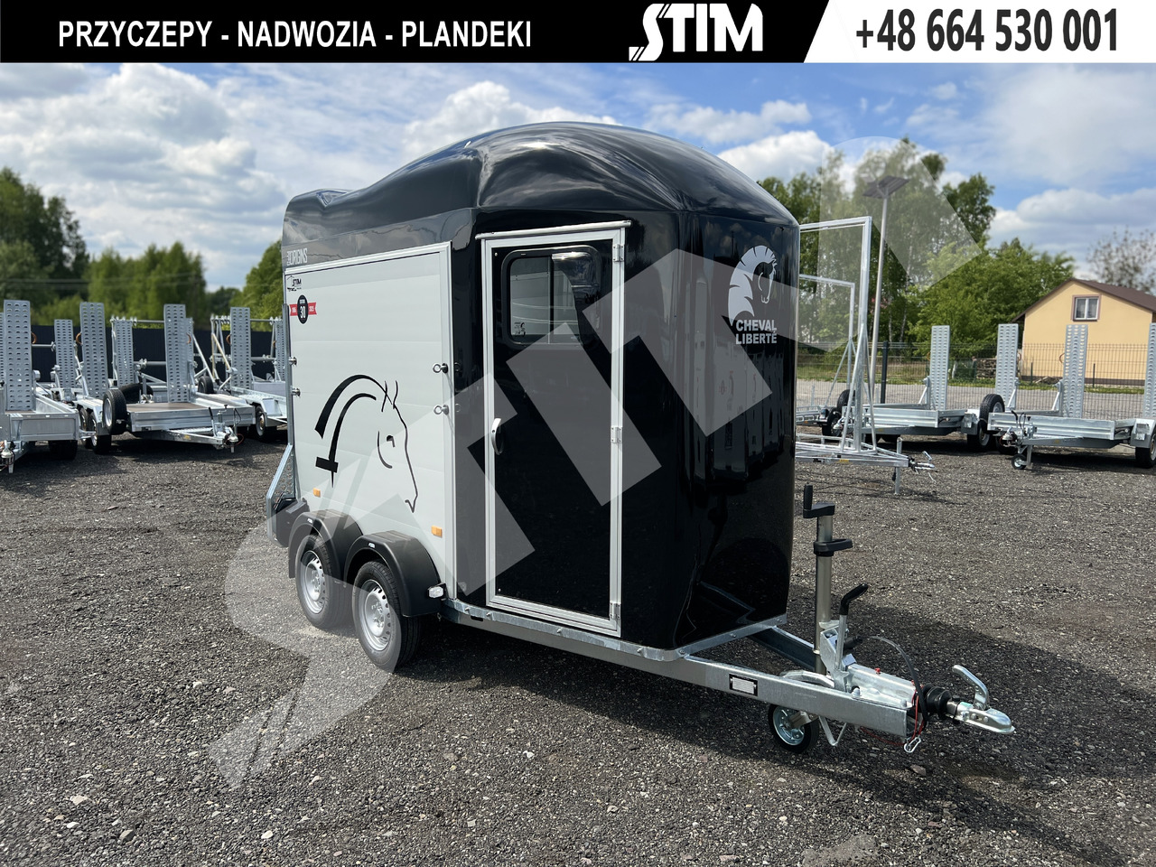 CHEVAL LIBERTÉ DEBON, GOLD ORIGINS ONE ALU - Van chevaux: photos 3 CHEVAL LIBERTÉ DEBON, GOLD ORIGINS ONE ALU - Van chevaux: photos 3