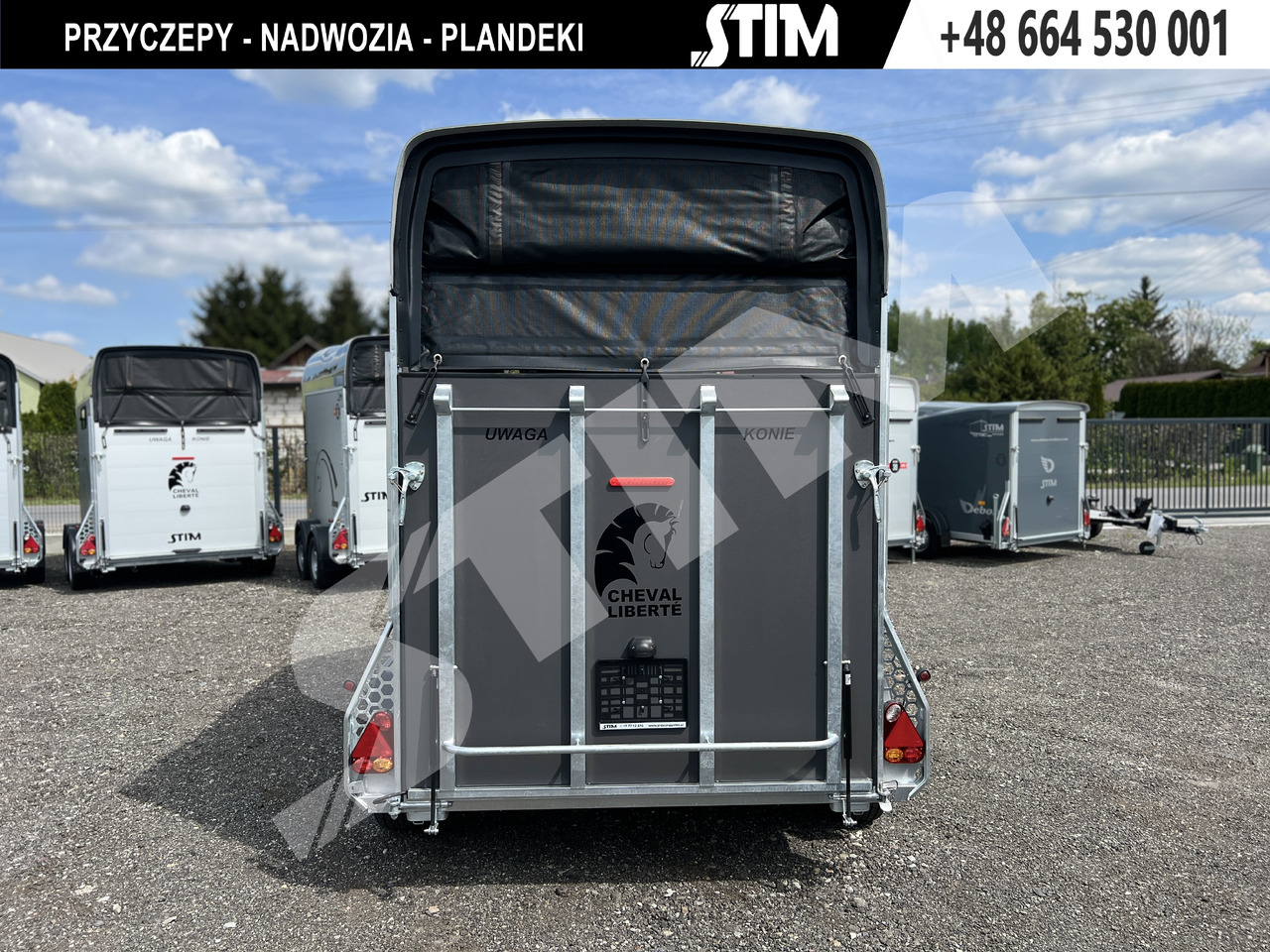 Cheval Liberté GOLD ORIGINS PODŁOGA ALU, BOKI SKLEJKA PPL - Van chevaux: photos 5 Cheval Liberté GOLD ORIGINS PODŁOGA ALU, BOKI SKLEJKA PPL - Van chevaux: photos 5