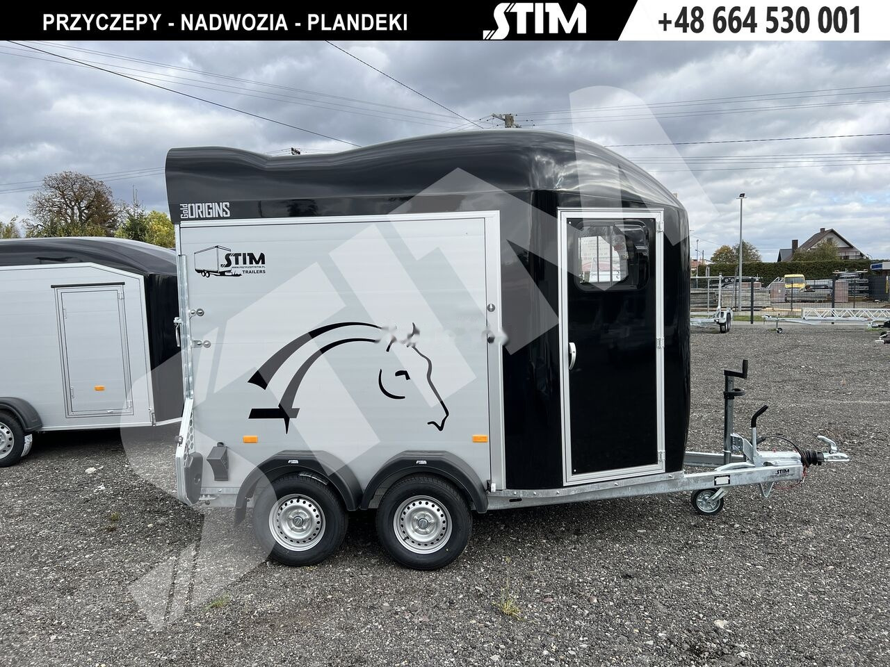 Cheval Liberté GOLD ORIGINS - Van chevaux: photos 2 Cheval Liberté GOLD ORIGINS - Van chevaux: photos 2