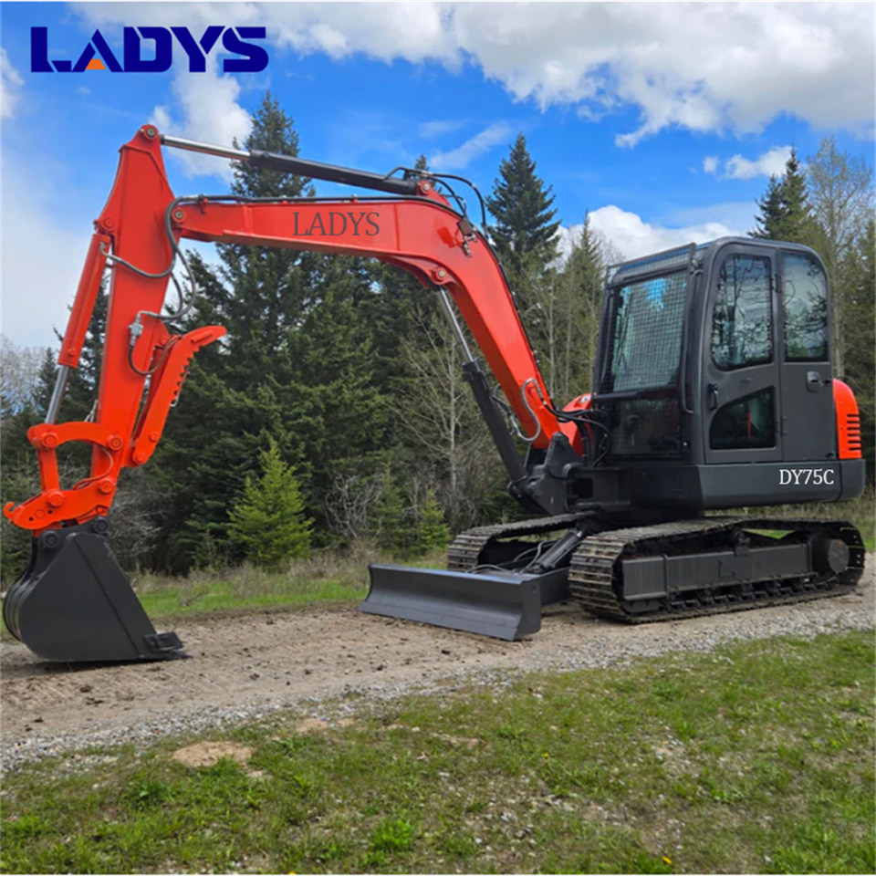 LADYS DY75C Small Excavator Euro 5/Epa Yanmar Engine Small Excavator Crawler Excavator For Sale - Pelle sur chenille: photos 2 LADYS DY75C Small Excavator Euro 5/Epa Yanmar Engine Small Excavator Crawler Excavator For Sale - Pelle sur chenille: photos 2