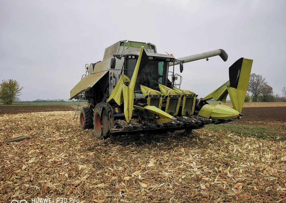 Cueilleur de maïs neuf Oros Cornado 6 4+2R Nowa Przystawka do kukurydzy: photos 7