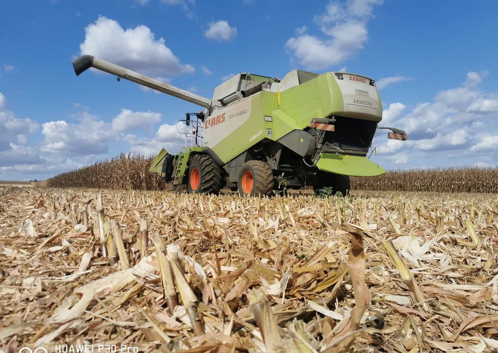 Cueilleur de maïs neuf Oros Cornado 6 4+2R Nowa Przystawka do kukurydzy: photos 12