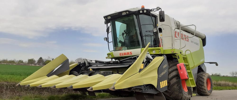 Cueilleur de maïs neuf Oros Cornado 6 4+2R Nowa Przystawka do kukurydzy: photos 6