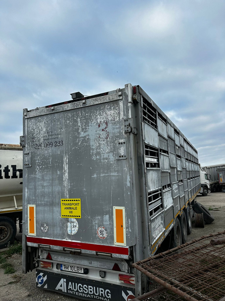 PEZZAIOLLI Animal Transport Semi-trailer - Semi-remorque bétaillère: photos 3 PEZZAIOLLI Animal Transport Semi-trailer - Semi-remorque bétaillère: photos 3