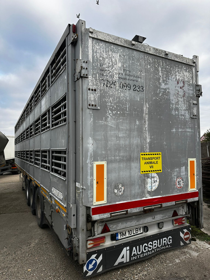 PEZZAIOLLI Animal Transport Semi-trailer - Semi-remorque bétaillère: photos 4 PEZZAIOLLI Animal Transport Semi-trailer - Semi-remorque bétaillère: photos 4