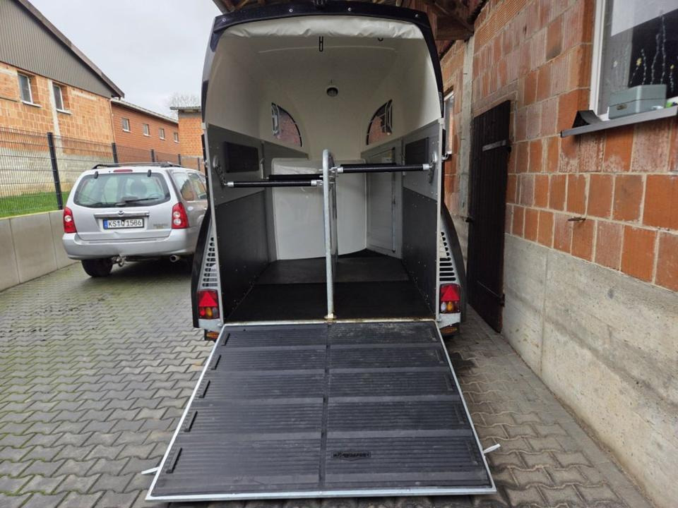 Böckmann Pferdeanhänger Champion R SaKa. WCF-Fahrwerk 100 km/h - Van chevaux: photos 4 Böckmann Pferdeanhänger Champion R SaKa. WCF-Fahrwerk 100 km/h - Van chevaux: photos 4