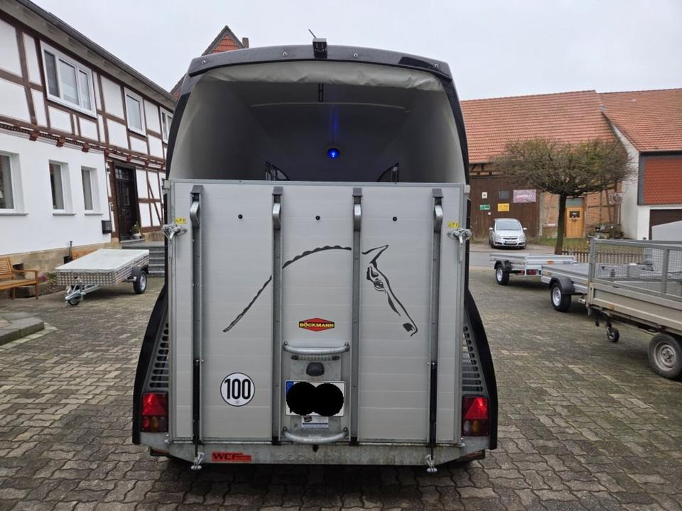 Böckmann Pferdeanhänger Champion R SaKa. WCF-Fahrwerk 100 km/h - Van chevaux: photos 3 Böckmann Pferdeanhänger Champion R SaKa. WCF-Fahrwerk 100 km/h - Van chevaux: photos 3