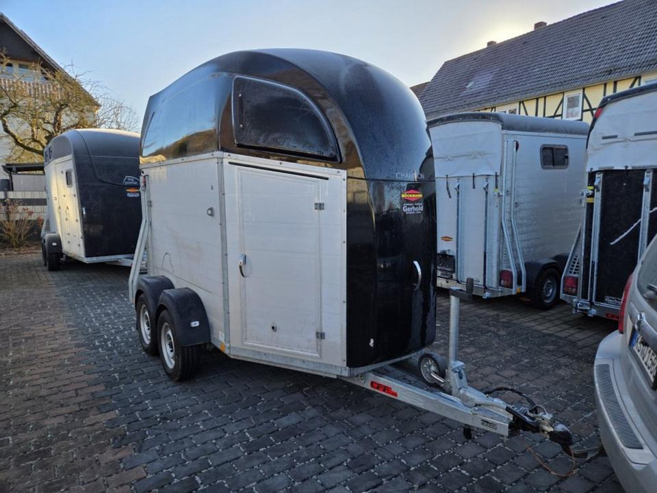 Böckmann, Pferdeanhänger, Champion R, top, SaKa. 100 km/h - Van chevaux: photos 5 Böckmann, Pferdeanhänger, Champion R, top, SaKa. 100 km/h - Van chevaux: photos 5