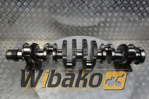 Crankshaft for engine Daewoo D2366 - Vilebrequin pour Engins de chantier: photos 1 Crankshaft for engine Daewoo D2366 - Vilebrequin pour Engins de chantier: photos 1