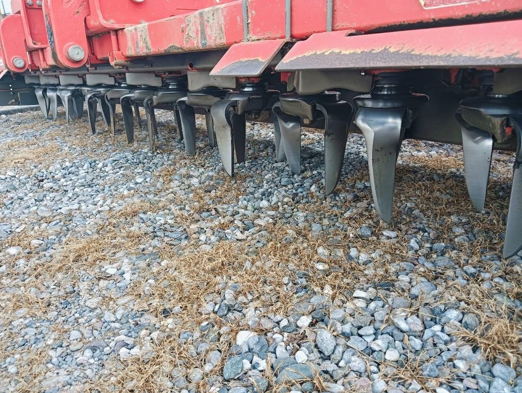 Maschio DMR 4000 - Herse: photos 2 Maschio DMR 4000 - Herse: photos 2