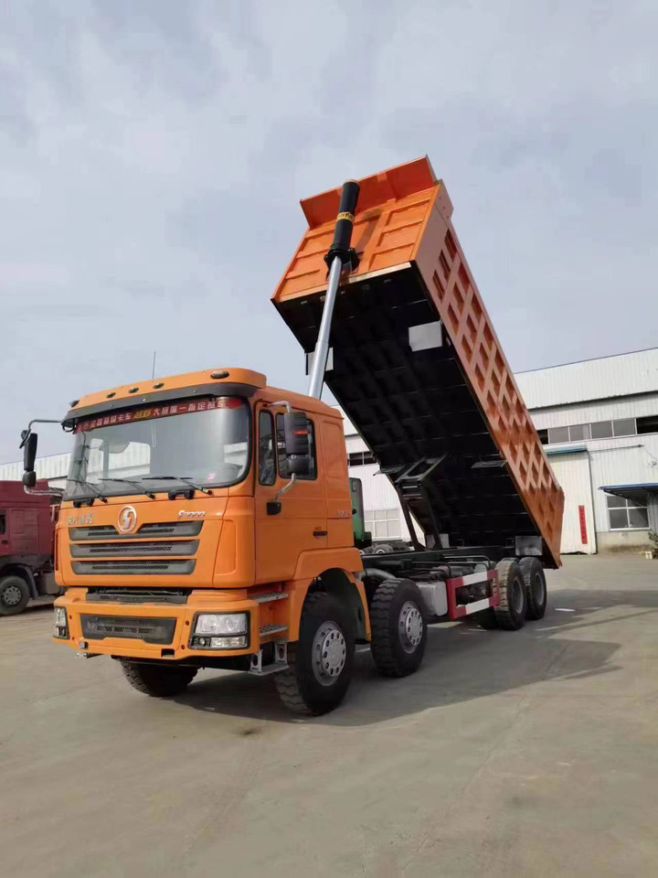 SHACMAN F3000 Dump Truck - Camion benne: photos 4 SHACMAN F3000 Dump Truck - Camion benne: photos 4