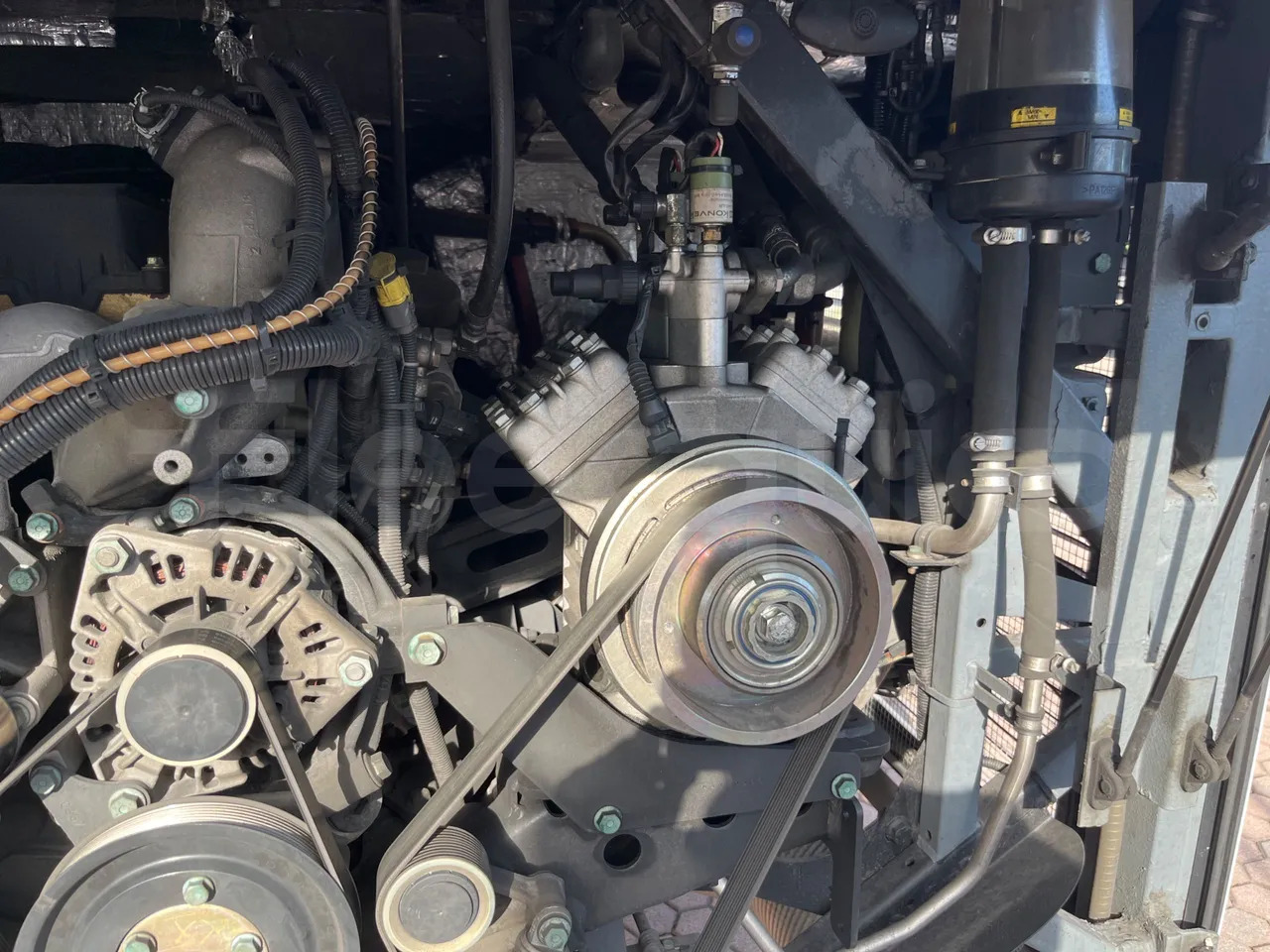 Autocar Barbi Galileo HD: photos 18 Autocar Barbi Galileo HD: photos 18