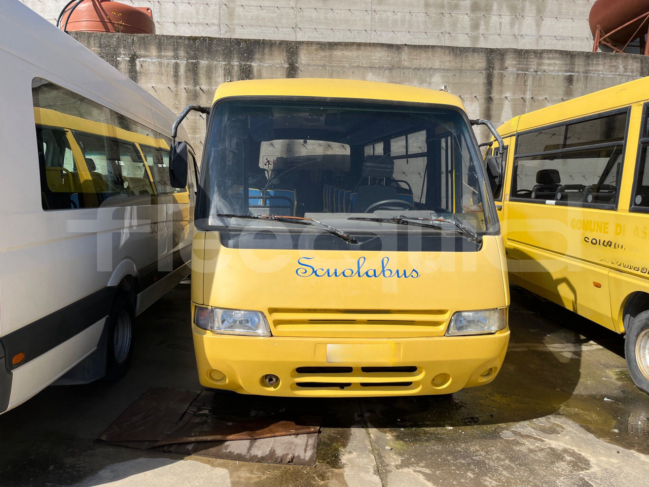 Bus scolaire Bundle di 4 mezzi Iveco - Cacciamali Fiat - Coriasco Iveco - Cacciamali Iveco - Cacciamali: photos 14