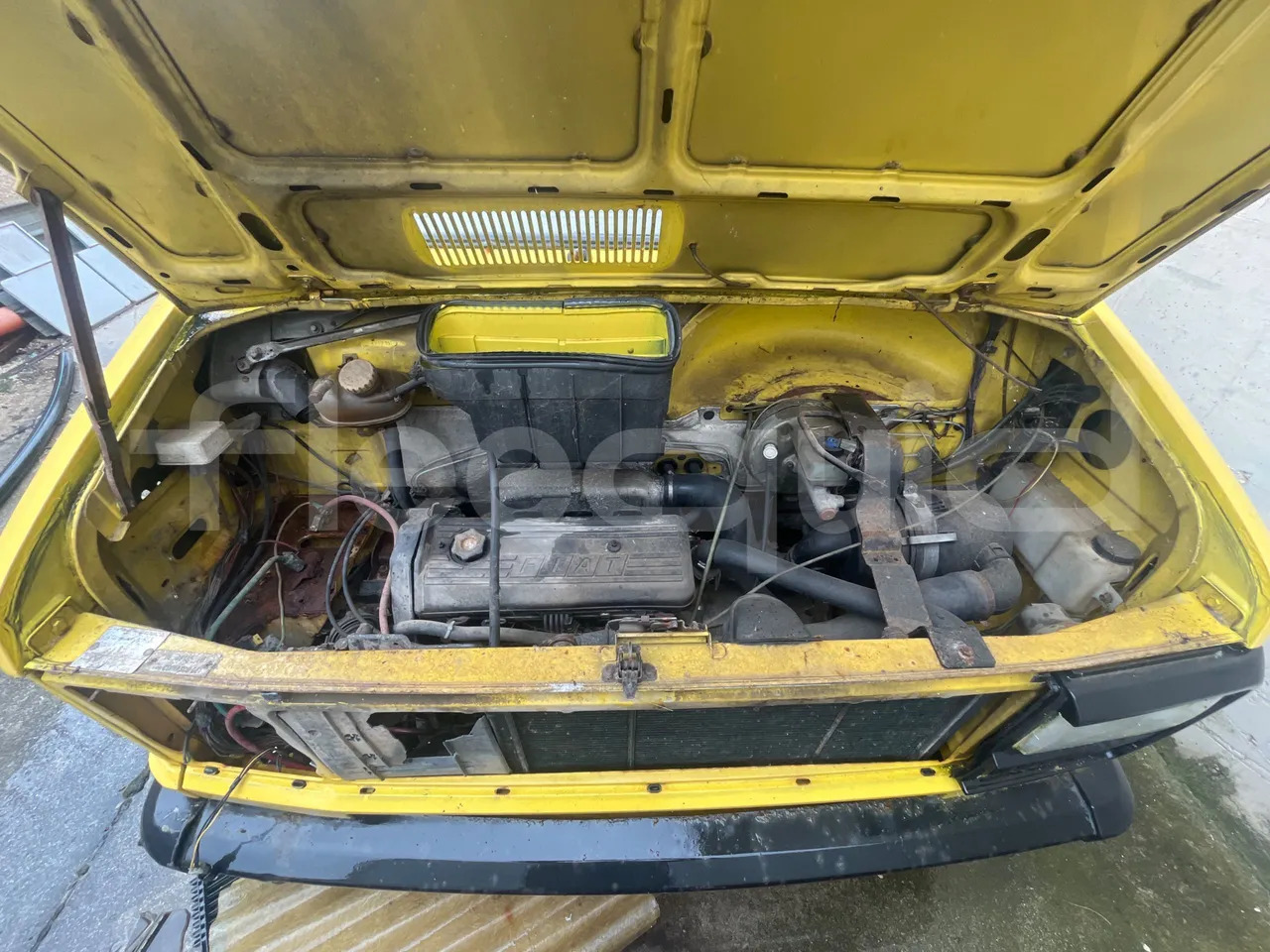 Bus scolaire Bundle di 4 mezzi Iveco - Cacciamali Fiat - Coriasco Iveco - Cacciamali Iveco - Cacciamali: photos 10
