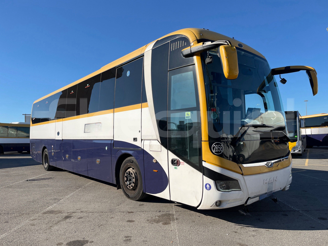 Man Lion's Coach - Autocar: photos 1 Man Lion's Coach - Autocar: photos 1