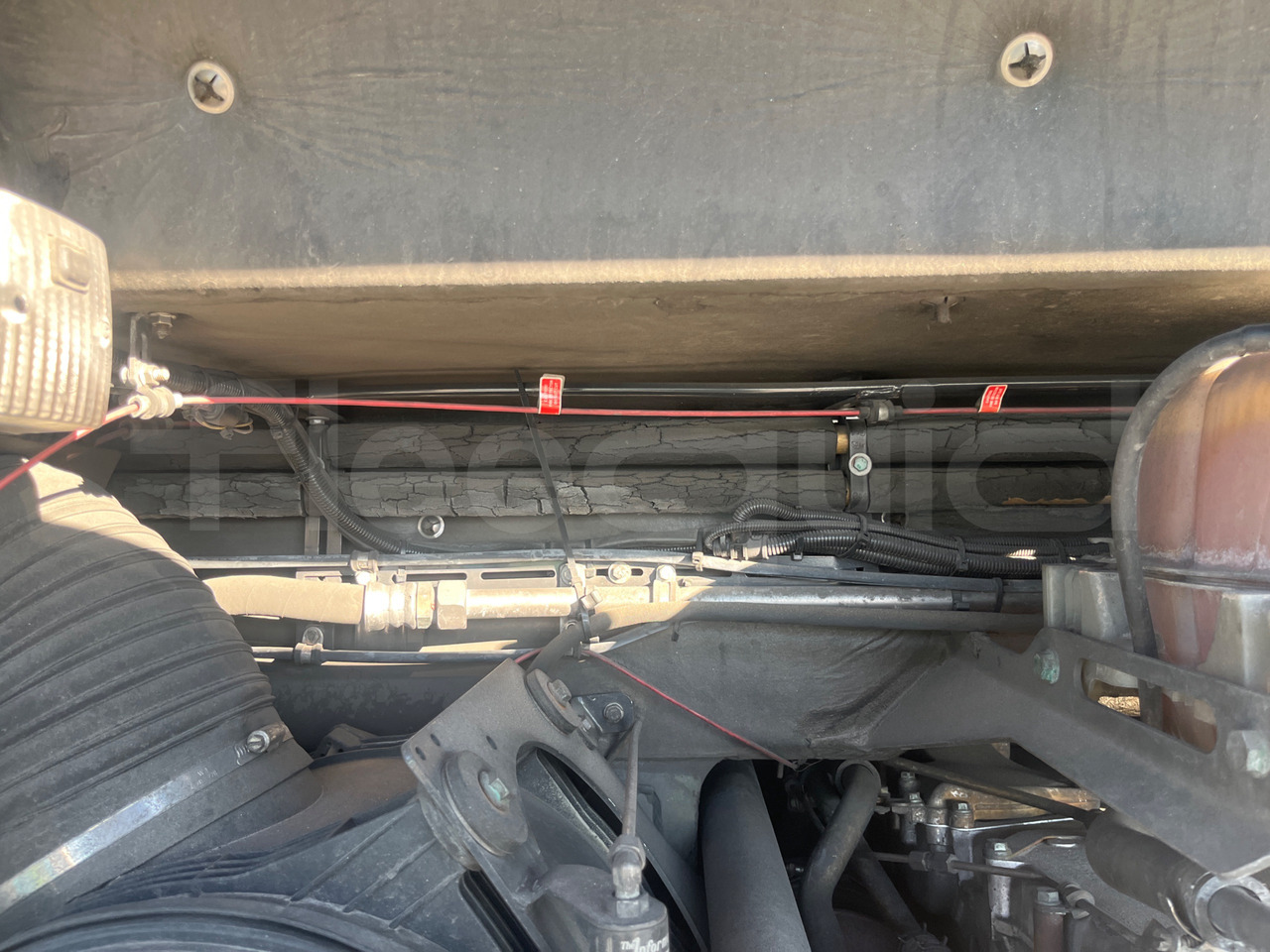 Autocar Man Lion's Coach: photos 18