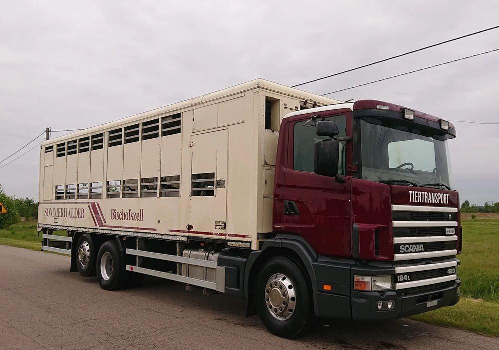 Scania 124 420 Do żywca - Camion bétaillère: photos 2 Scania 124 420 Do żywca - Camion bétaillère: photos 2