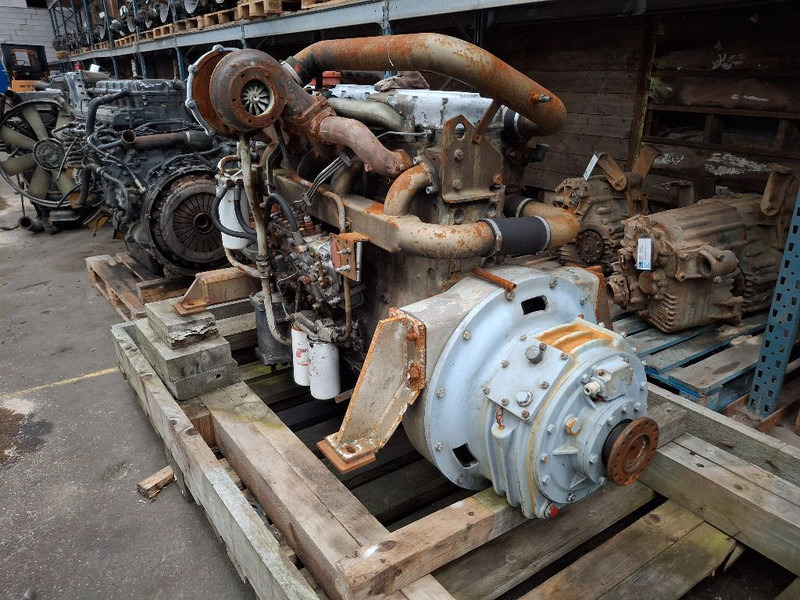 DAF 1160 TURBO (DKS1160E) - Moteur: photos 4 DAF 1160 TURBO (DKS1160E) - Moteur: photos 4