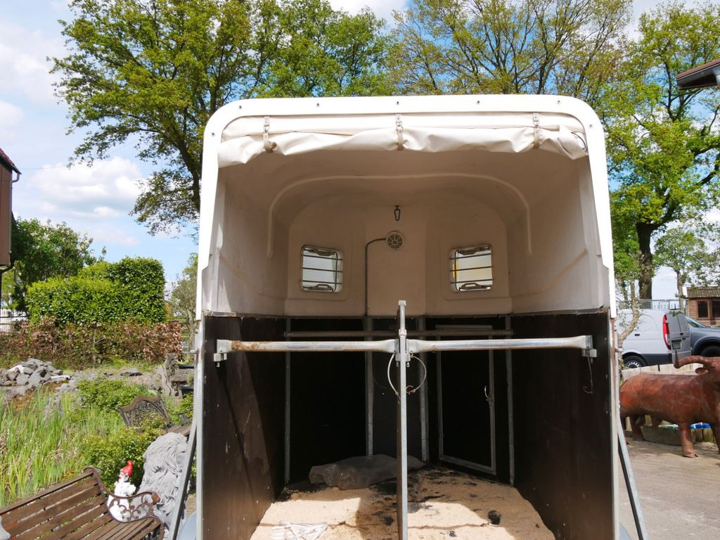 Böckmann Cavallo Böckmann Cavallo - Van chevaux: photos 3 Böckmann Cavallo Böckmann Cavallo - Van chevaux: photos 3