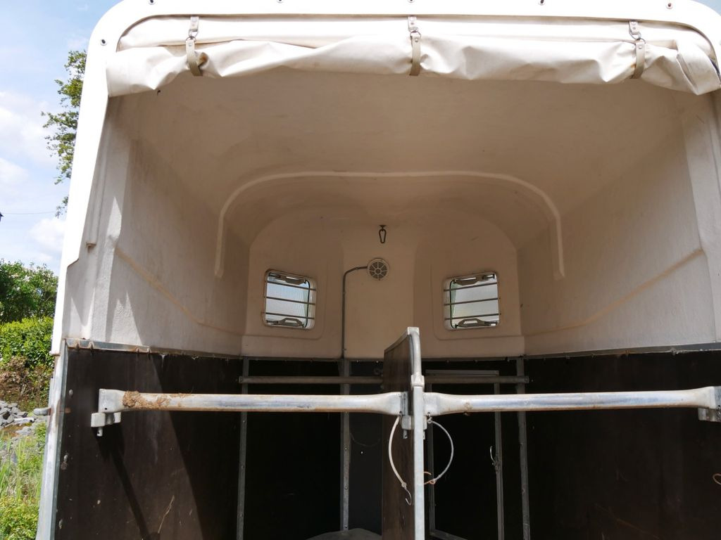 Böckmann Cavallo Böckmann Cavallo - Van chevaux: photos 4 Böckmann Cavallo Böckmann Cavallo - Van chevaux: photos 4