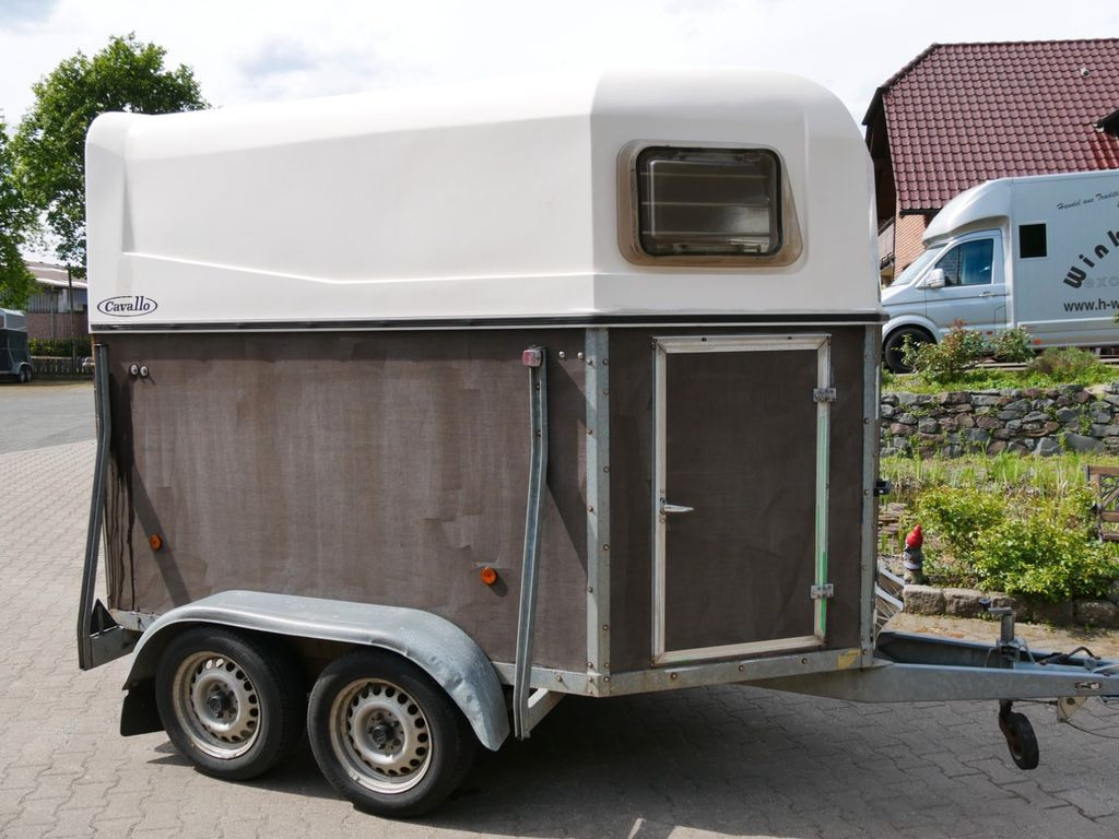 Böckmann Cavallo Böckmann Cavallo - Van chevaux: photos 5 Böckmann Cavallo Böckmann Cavallo - Van chevaux: photos 5
