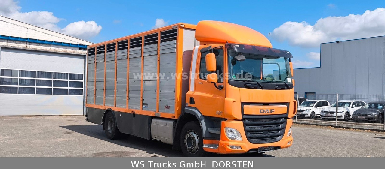 DAF CF 400 Menke Einstock - Camion chevaux: photos 4 DAF CF 400 Menke Einstock - Camion chevaux: photos 4