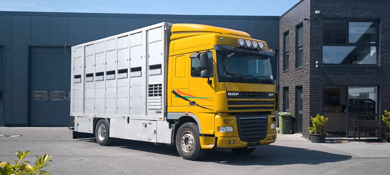 DAF XF 410 SC Menke Doppelstock - Camion chevaux: photos 2 DAF XF 410 SC Menke Doppelstock - Camion chevaux: photos 2