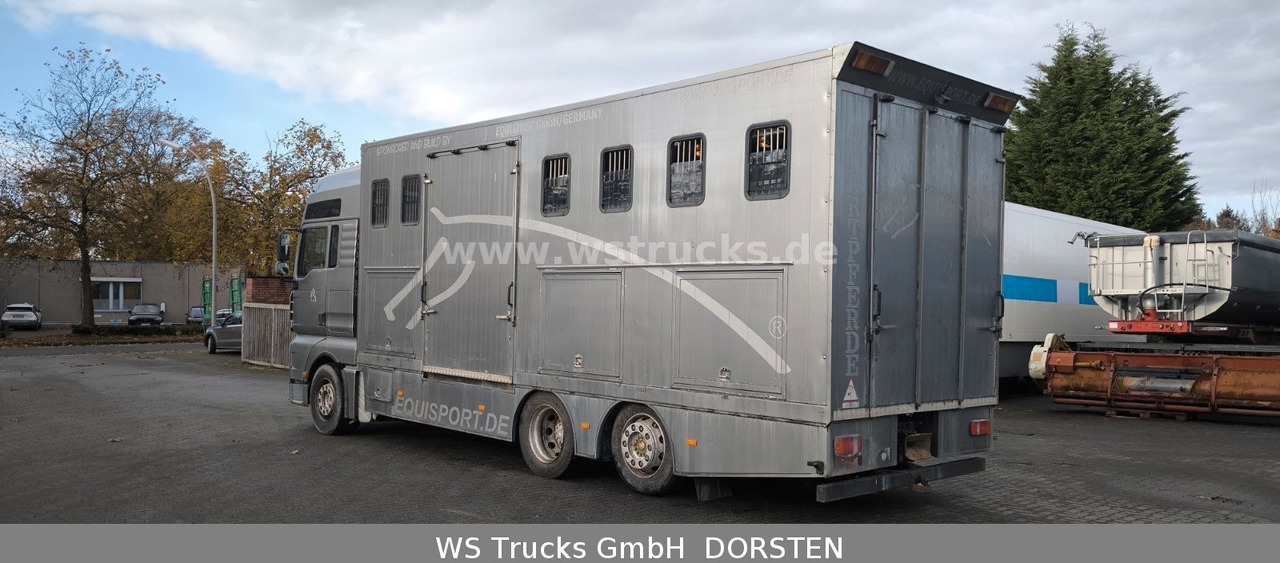 MAN TGA 26.480 FG 6x2 Pferdetransporter Luft/Luft - Camion chevaux: photos 5 MAN TGA 26.480 FG 6x2 Pferdetransporter Luft/Luft - Camion chevaux: photos 5