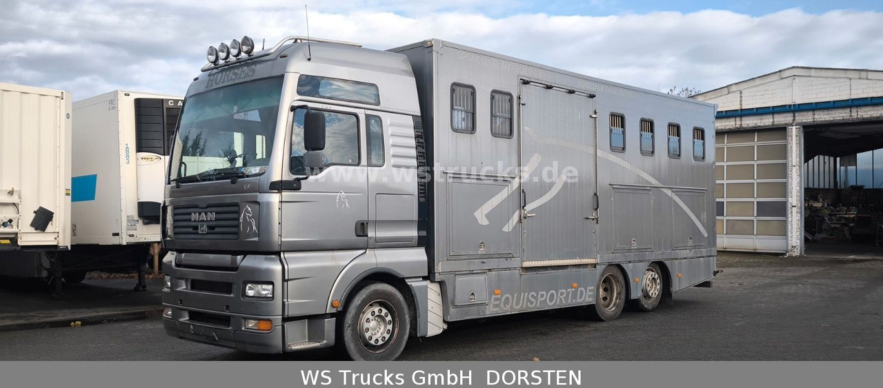 MAN TGA 26.480 FG 6x2 Pferdetransporter Luft/Luft - Camion chevaux: photos 2 MAN TGA 26.480 FG 6x2 Pferdetransporter Luft/Luft - Camion chevaux: photos 2