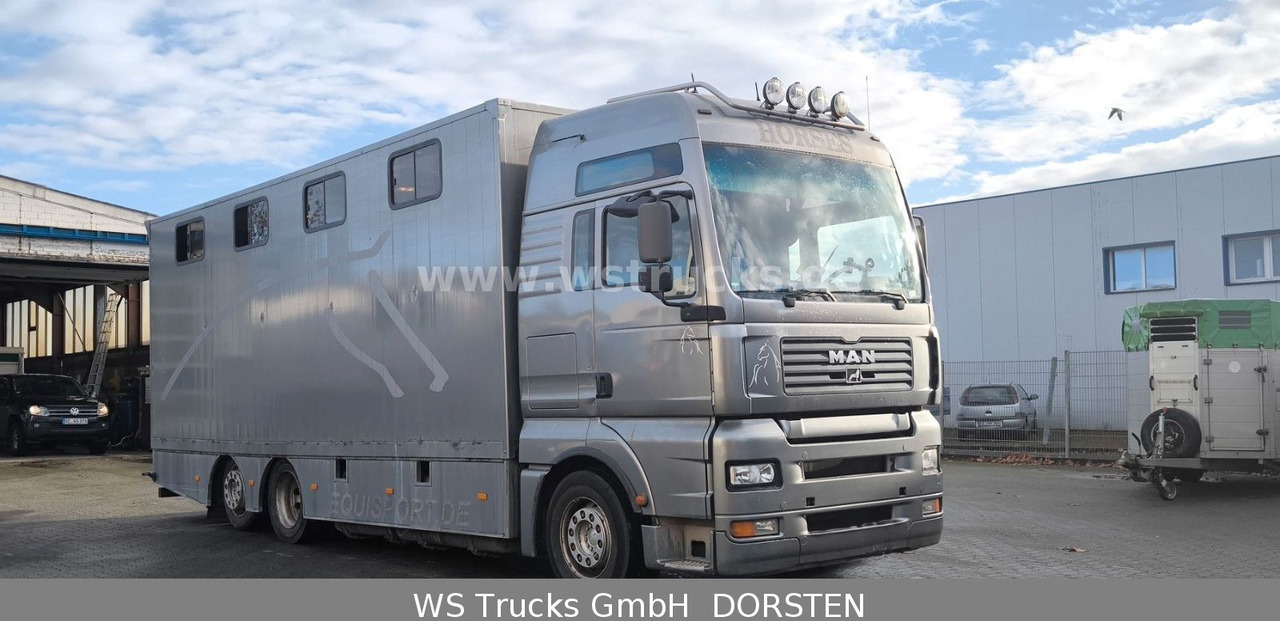 MAN TGA 26.480 FG 6x2 Pferdetransporter Luft/Luft - Camion chevaux: photos 3 MAN TGA 26.480 FG 6x2 Pferdetransporter Luft/Luft - Camion chevaux: photos 3