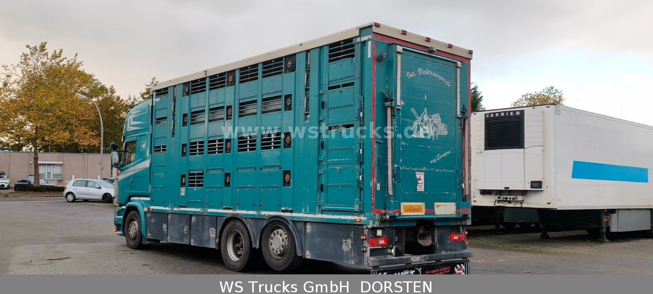 Scania R 490 Topline Menke 4 Stock Hubdach | Retader - Camion chevaux: photos 4 Scania R 490 Topline Menke 4 Stock Hubdach | Retader - Camion chevaux: photos 4