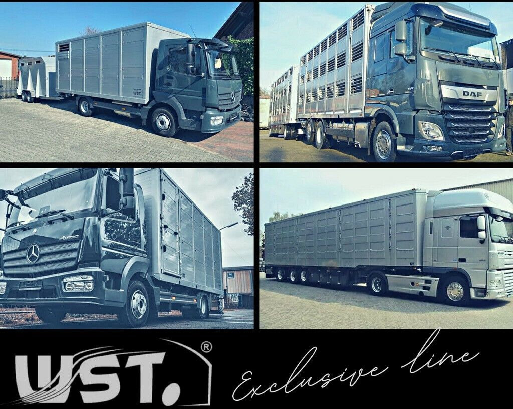 Semi-remorque frigorifique Schmitz Cargobull SKO 24 Kühlauflieger Vector 1550 Strom/Diesel: photos 22