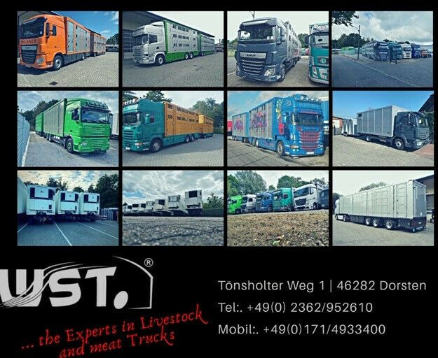Semi-remorque frigorifique Schmitz Cargobull SKO 24 Kühlauflieger Vector 1550 Strom/Diesel: photos 23