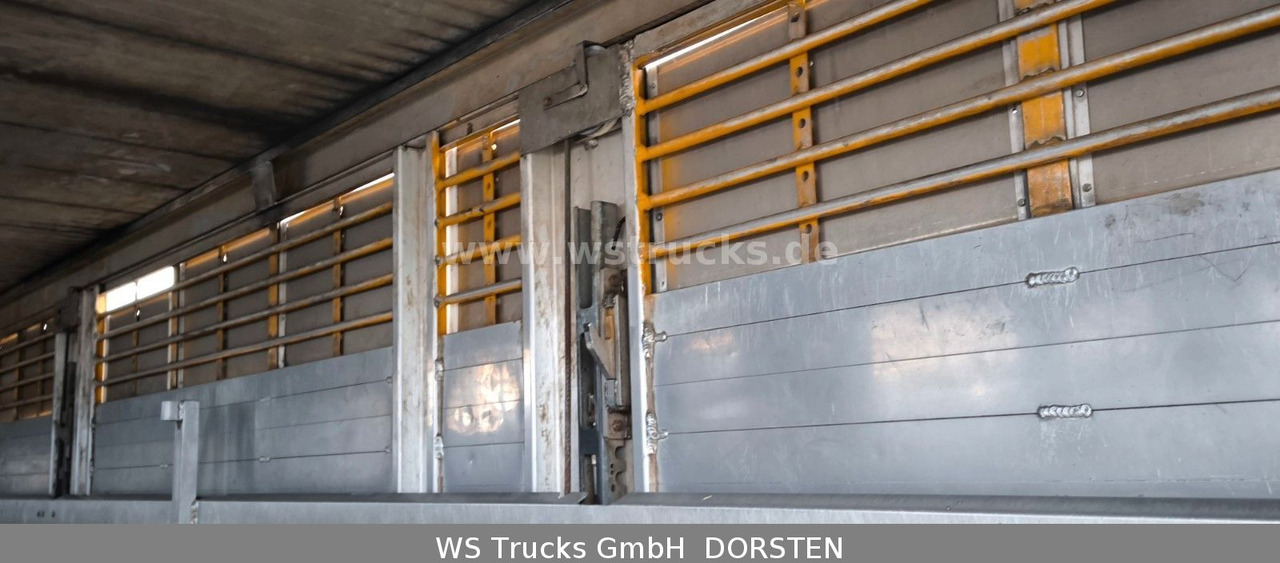Camion chevaux Volvo FM 260 mit KABA 2 Stock Vollalu: photos 12