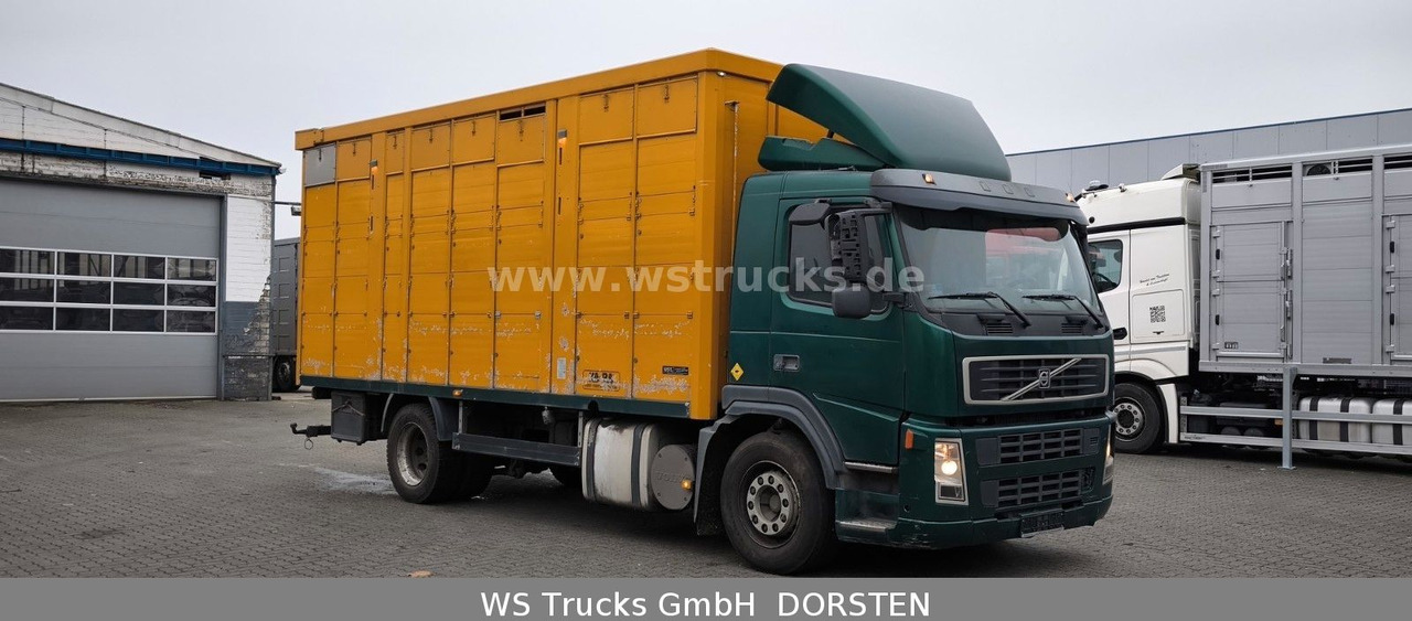 Volvo FM 260 mit KABA 2 Stock Vollalu - Camion chevaux: photos 3 Volvo FM 260 mit KABA 2 Stock Vollalu - Camion chevaux: photos 3