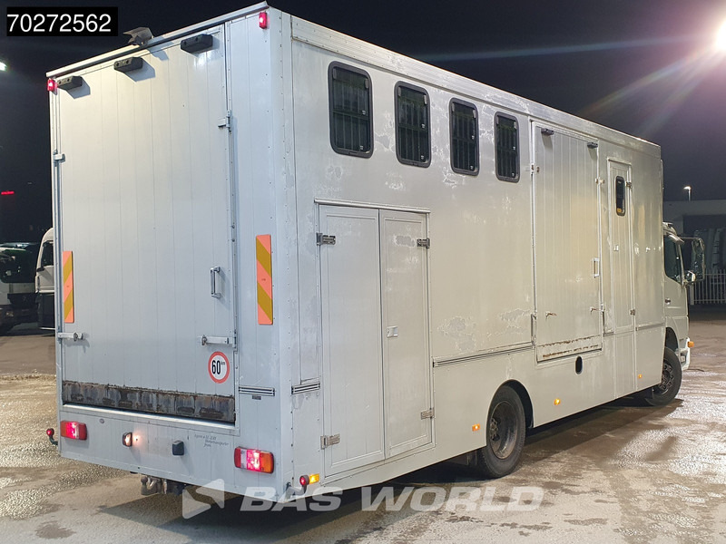 Mercedes-Benz Atego 1217 4X2 Horse truck 6 horses Manual Steelsuspension Euro 2 - Camion chevaux: photos 5 Mercedes-Benz Atego 1217 4X2 Horse truck 6 horses Manual Steelsuspension Euro 2 - Camion chevaux: photos 5