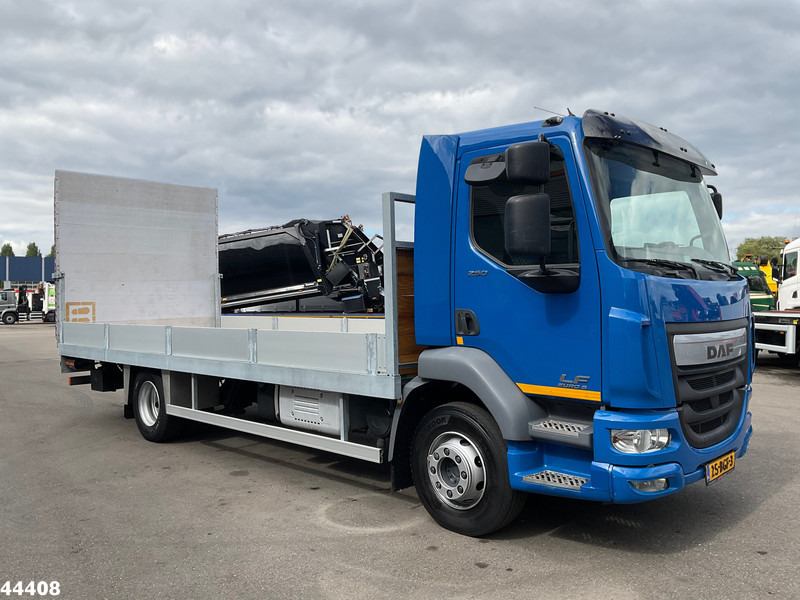 Camion porte-voitures DAF FA LF 250 Euro 6 Autotransporter met laadklep: photos 6