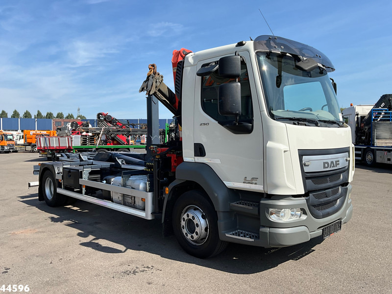 DAF FA LF 250 Euro 6 Palfinger 6,5 Tonmeter laadkraan - Camion ampliroll, Camion grue: photos 3 DAF FA LF 250 Euro 6 Palfinger 6,5 Tonmeter laadkraan - Camion ampliroll, Camion grue: photos 3