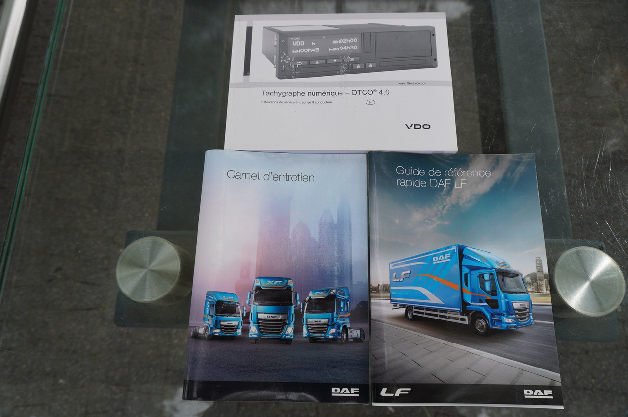 Camion fourgon DAF LF 290 / 21 EPAL box / 2021: photos 30