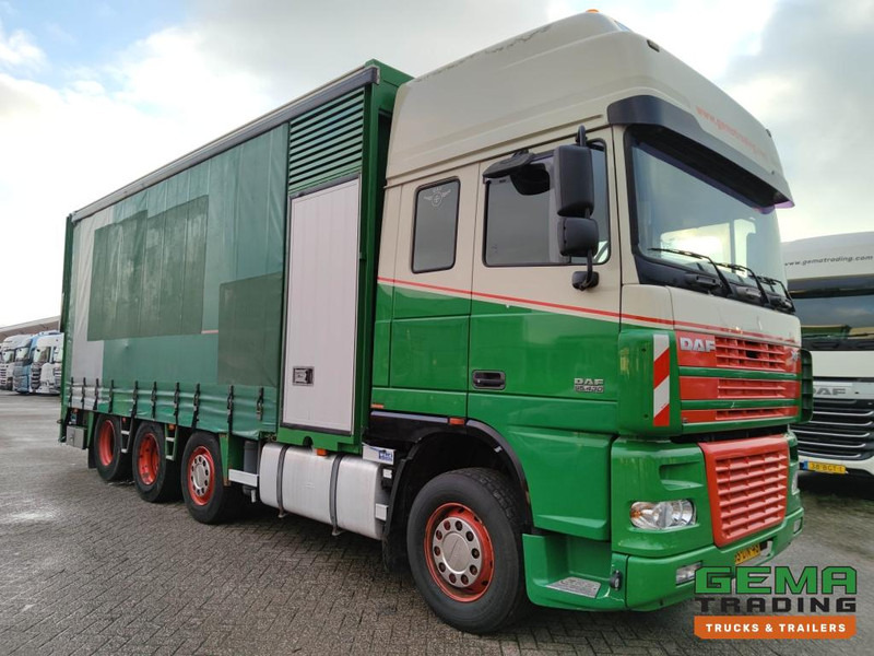 DAF FAK XF95.430 8x2 SuperSpaceCab Euro3 - CurtainSider 7.31m + Ramp 16T - MachineTransporter - 6 Persons  (V558) - Camion porte-voitures: photos 3 DAF FAK XF95.430 8x2 SuperSpaceCab Euro3 - CurtainSider 7.31m + Ramp 16T - MachineTransporter - 6 Persons  (V558) - Camion porte-voitures: photos 3