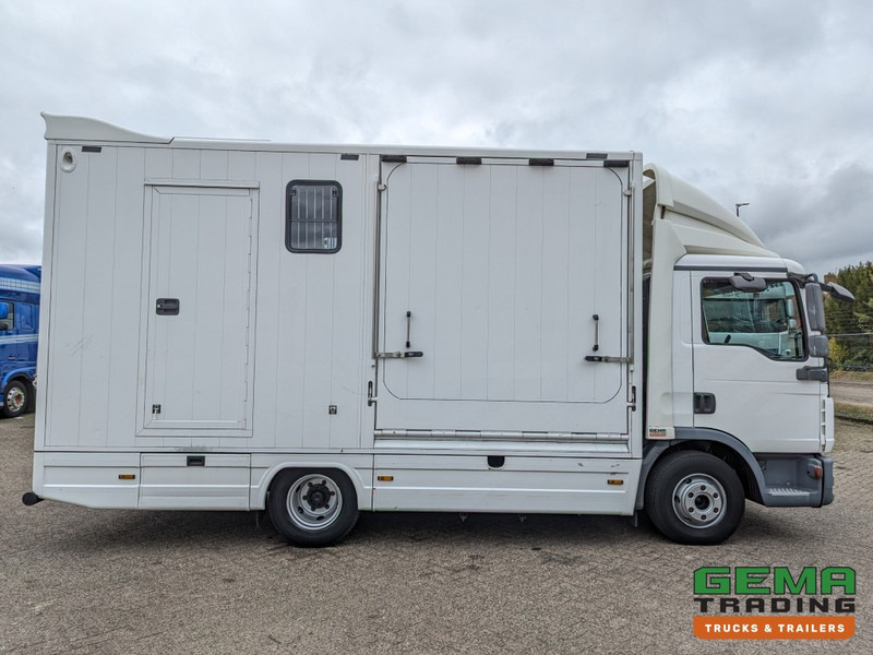 MAN TGL 12.250 4x2 Euro5 EEV RC HorseTruck - 2a3 Paards - 135.000km - MARGE (V821) en crédit-bail MAN TGL 12.250 4x2 Euro5 EEV RC HorseTruck - 2a3 Paards - 135.000km - MARGE (V821): photos 18