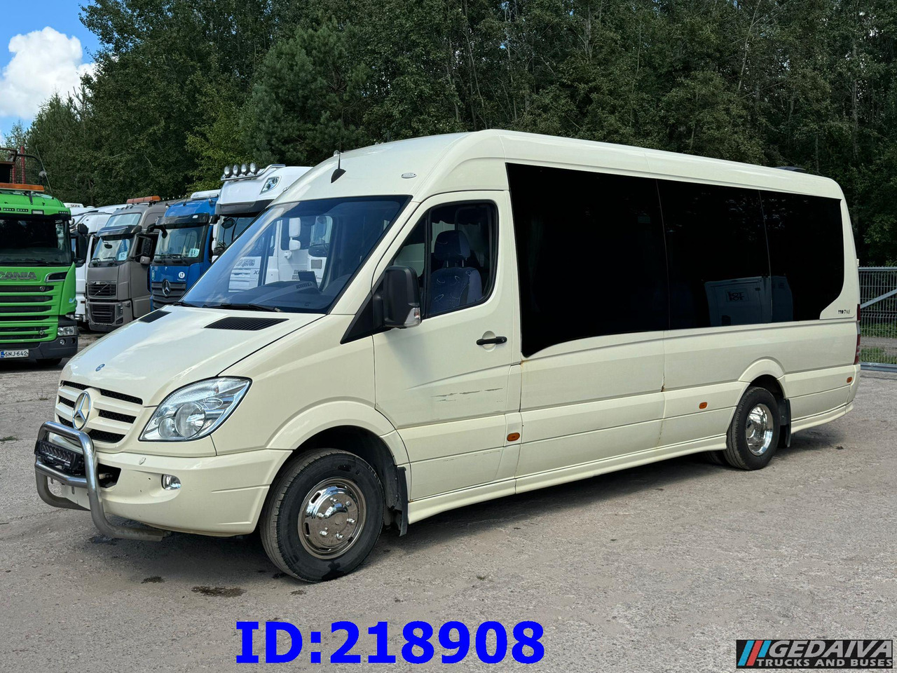 Autocar MERCEDES-BENZ Sprinter 519 VIP 18-Place Prostyle Euro5: photos 1